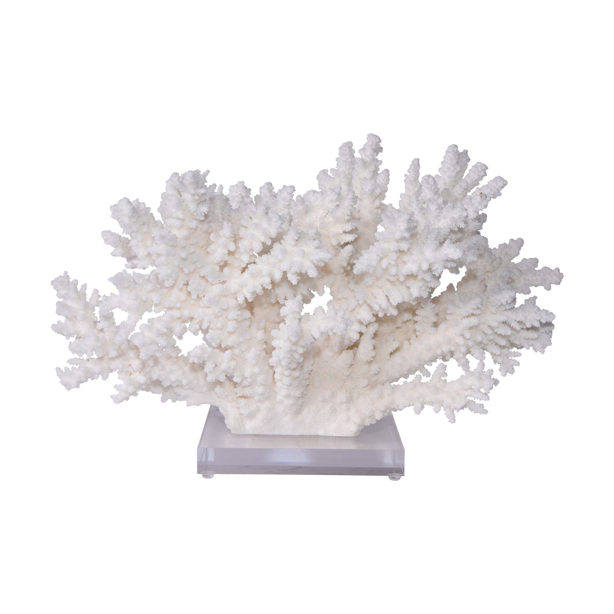 Legend of Asia Home Legend of Asia Branch Coral 24 Inch On Acrylic Base
