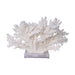 Legend of Asia Home Legend of Asia Branch Coral 24 Inch On Acrylic Base