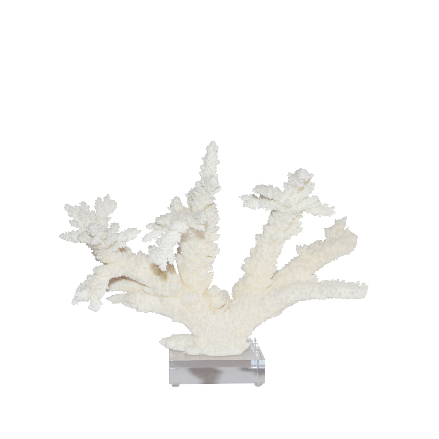 Legend of Asia Branch Coral 8-10 Inch On Acrylic Base — ShopTheAddison