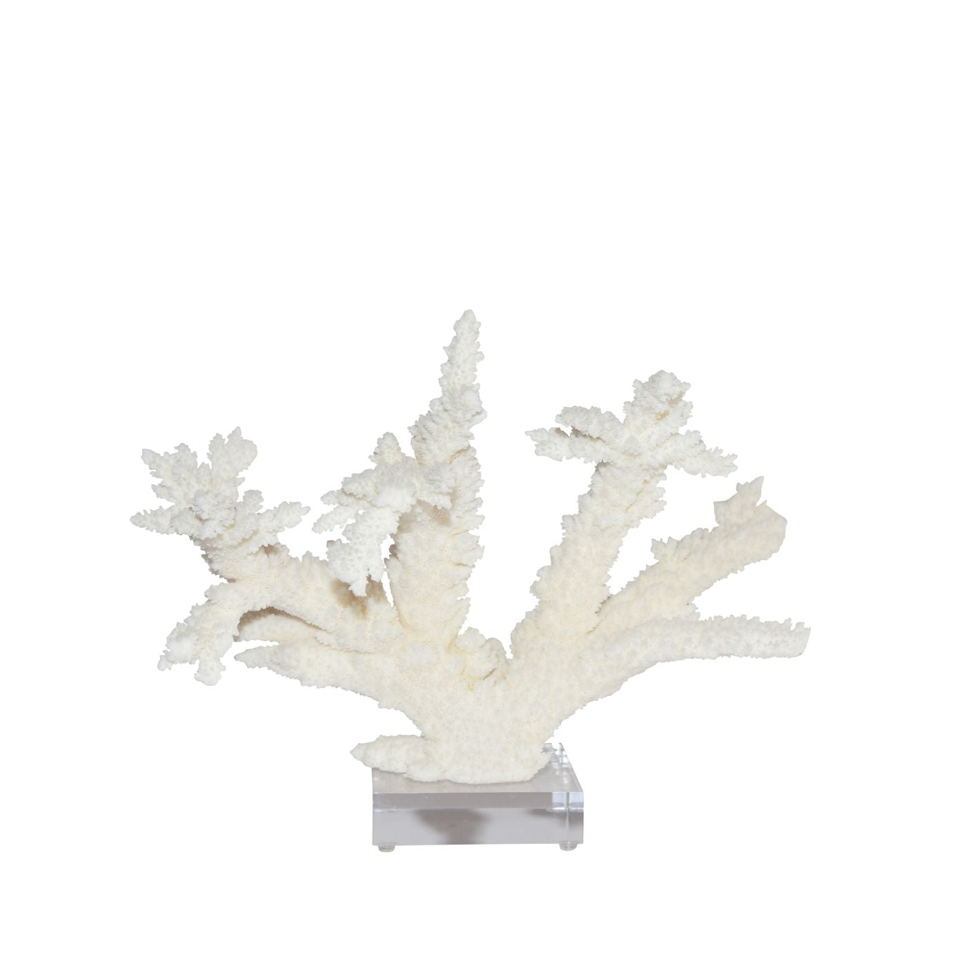 Legend of Asia Home Legend of Asia Branch Coral 8-10  Inch On Acrylic Base