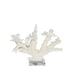 Legend of Asia Home Legend of Asia Branch Coral 8-10  Inch On Acrylic Base