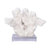 Legend of Asia Home Legend of Asia Catspaw Coral 10-12 Inch On Acrylic Base