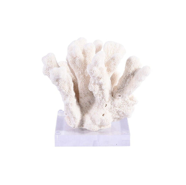 Legend of Asia Home Decor Legend of Asia Catspaw Coral 7-10 Inch On Acrylic Base
