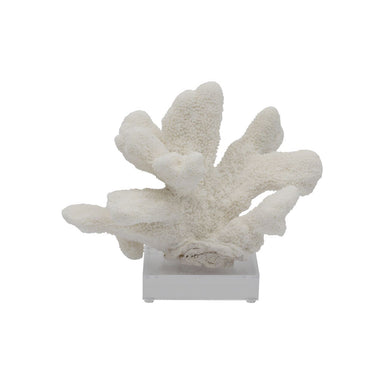 Legend of Asia Home Decor Legend of Asia Catspaw Coral 7-10 Inch On Acrylic Base