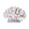 Legend of Asia Home Decor Legend of Asia Cauliflower Coral 10-12 Inch On Acrylic Base