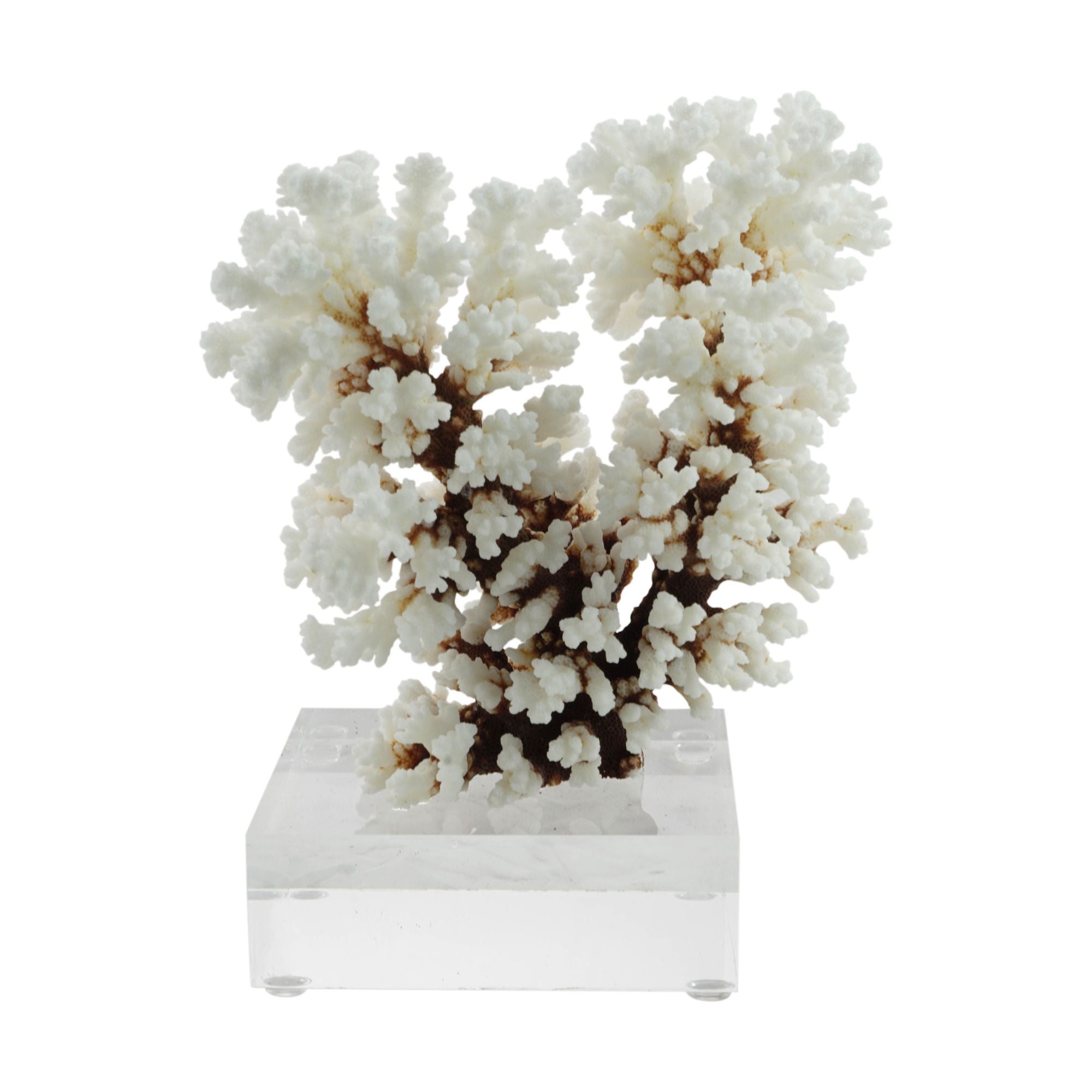 Legend of Asia Home Decor Legend of Asia Cluster Coral 7-10 Inch On Acrylic Base