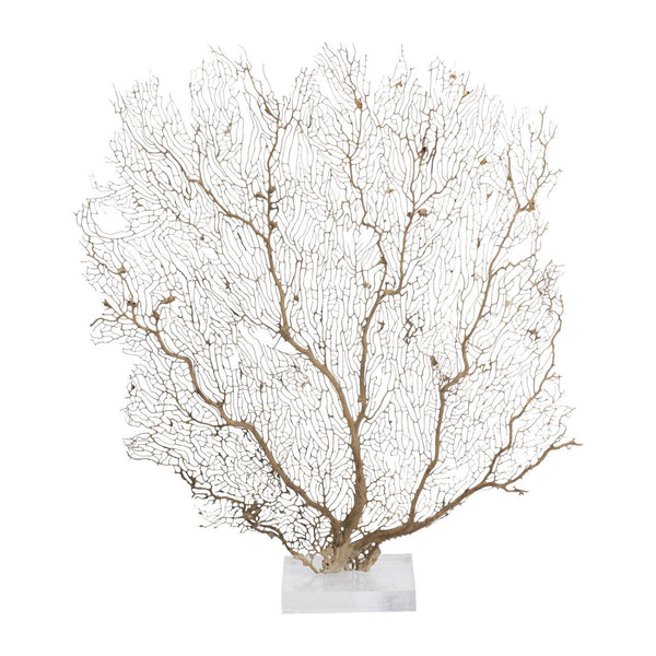 Legend of Asia Home Decor Legend of Asia Cream Seafan 25 30 In On Acrylic Base