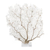 Legend of Asia Home Decor Legend of Asia Cream Seafan 25 30 In On Acrylic Base