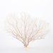 Legend of Asia Home Decor Legend of Asia Cream Seafan 30 35 In