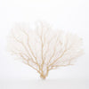 Legend of Asia Home Decor Legend of Asia Cream Seafan 30 35 In