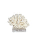 Legend of Asia Home Legend of Asia Elkhorn Coral Pacific 7-10 Inch On Acrylic Base