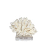 Legend of Asia Home Legend of Asia Elkhorn Coral Pacific 7-10 Inch On Acrylic Base