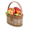 Mary Frances Handbags Mary Frances Apple Orchard Top Handle