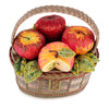 Mary Frances Handbags Mary Frances Apple Orchard Top Handle