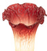 Meyda Lighting Lighting 13" High Seafoam/Cranberry Tiffany Pond Lily Twin Cherub Accent Lamp