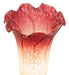Meyda Lighting Lighting 8" High Seafoam/Cranberry Pond Lily Victorian Mini Lamp