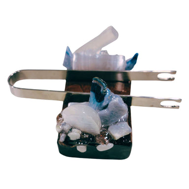 Olivia Riegel Gfitware Olivia Riegel Azure Card Holder Blue