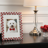 Olivia Riegel Picture Frames Olivia Riegel Silver Hamilton Picture Frame Ruby 5" x 7"