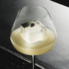 Orrefors Giftware Orrefors Aroma Copa Gin Set of 4