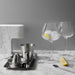 Orrefors Giftware Orrefors Aroma Copa Gin Set of 4