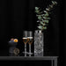 Orrefors Art Glass Orrefors Carat Champagne - Set of 2