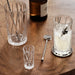 Orrefors Art Glass Orrefors City Highball - Set of 2