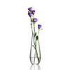Orrefors Art Glass Orrefors Enjoy Carafe