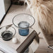 Orrefors Art Glass Orrefors Ensemble Blue/Gray Medium