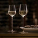 Orrefors Giftware Orrefors Frantzén Champagne Set of 2