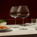 Orrefors Giftware Orrefors Frantzén Mature Wine Set of 2