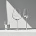 Orrefors Giftware Orrefors Frantzén Red Wine Set of 2