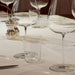 Orrefors Giftware Orrefors Frantzén Tumbler Set of 2