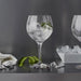Orrefors Art Glass Orrefors Gin and Tonic - Set of 6