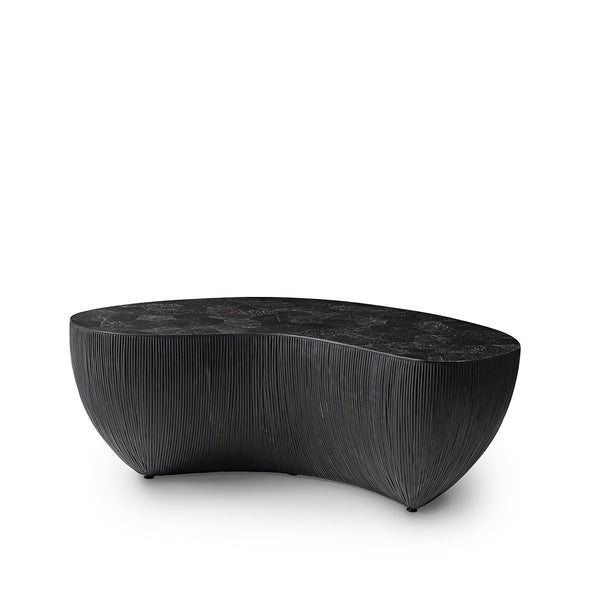 Palecek Furniture Default Title / Motor Freight - Rate TBQ Palecek Calanova Outdoor Coffee Table Large, Black