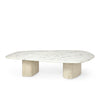 Palecek Furniture Default Title / Motor Freight - Rate TBQ Palecek Caleb Coffee Table Short Grey