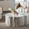 Palecek Furniture Default Title / Motor Freight - Rate TBQ Palecek Camilla Fossilized Clam Coffee Table
