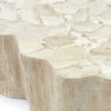 Palecek Furniture Default Title / Motor Freight - Rate TBQ Palecek Camilla Fossilized Clam Coffee Table