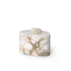 Palecek Home Decor Palecek Celine Alabaster Box, Large