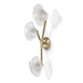 Palecek Lighting Palecek Cicero Sconce