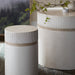 Palecek Furniture Palecek Cienaga Drink Table