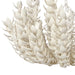 Palecek Lighting Default Title / Motor Freight - Rate TBQ Palecek Coco Magnolia Oversized Chandelier