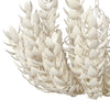 Palecek Lighting Default Title / Motor Freight - Rate TBQ Palecek Coco Magnolia Oversized Chandelier
