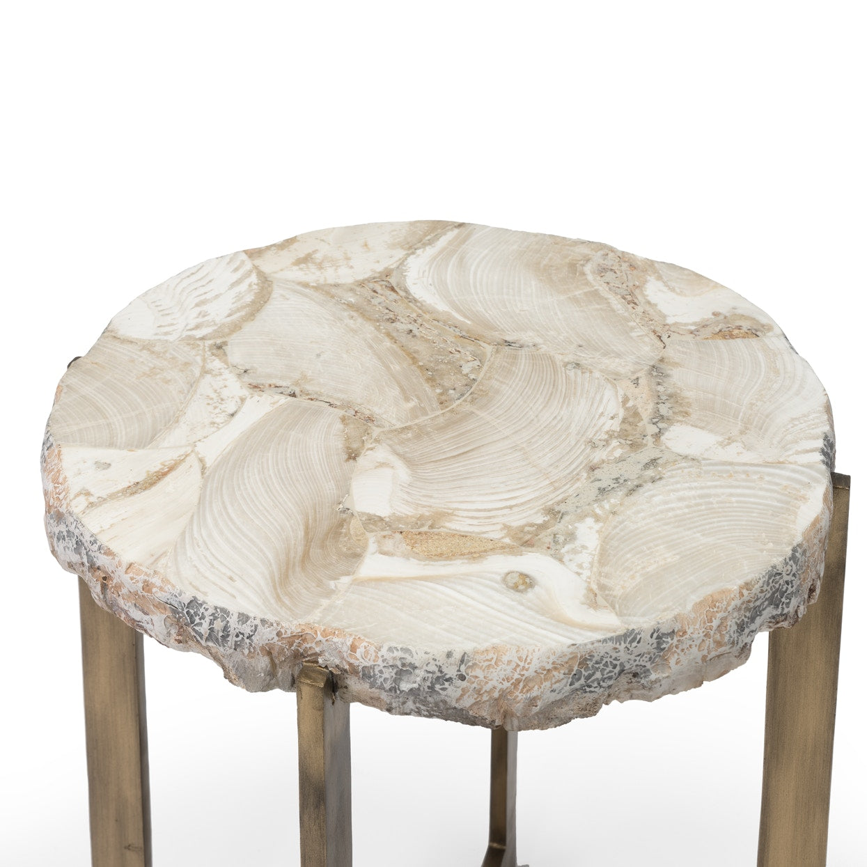 Palecek Furniture Palecek Durham Fossilized Clam Side Table