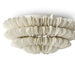 Palecek Lighting Palecek Hannah Flush Mount