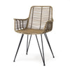 Palecek Furniture Default Title / Motor Freight - Rate TBQ Palecek Hermosa Arm Chair