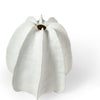 Palecek Home Decor Palecek Keiko Vase White, Medium