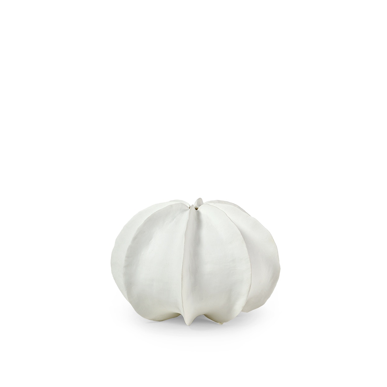 Palecek Home Decor Palecek Keiko Vase White, Small