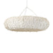 Palecek Lighting Default Title / Motor Freight - Rate TBQ Palecek Mariposa Chandelier