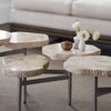 Palecek Furniture Palecek Merced Fossilized Clam 2 Top Table