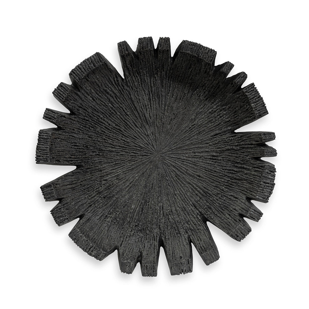 Palecek Home Decor Palecek Reef Outdoor Wall Decor Large, Charcoal